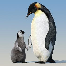 Great Horned Owl  Flying